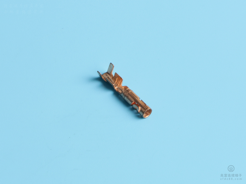 2.5雙腳母端（定制），黃銅，原色，單粒（OM18-01）